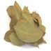 Bay Leaves-Bay Leaf-100 gm